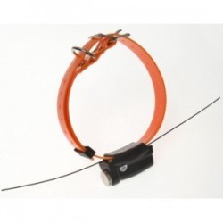 Collier de repérage avec capteur d'aboiement Contact Pro Num'Axes