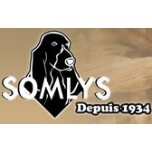 Somlys